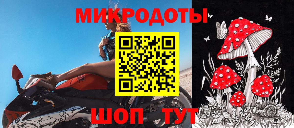 Галлюциногенные грибы Psilocybe Сертолово