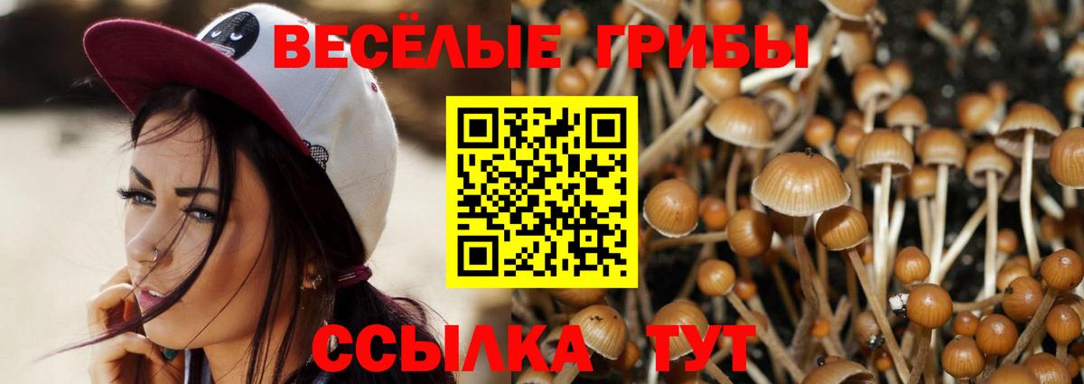 Сертолово  купить   Вход с VPN  Галлюциногенные грибы мицелий 